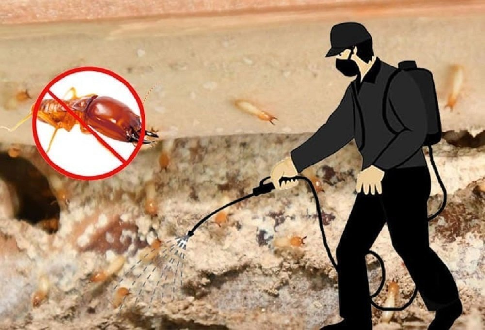 termite-pest-control-service